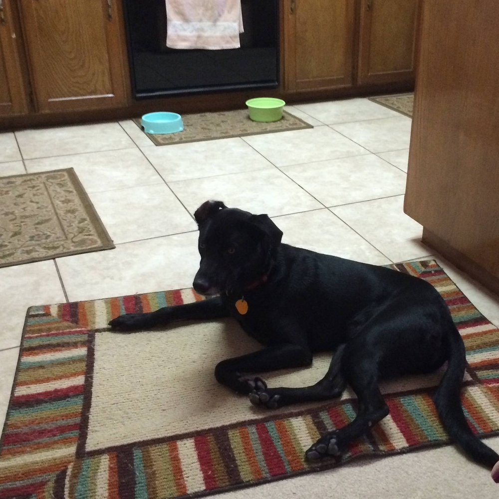 Meet your Posher, Barbara